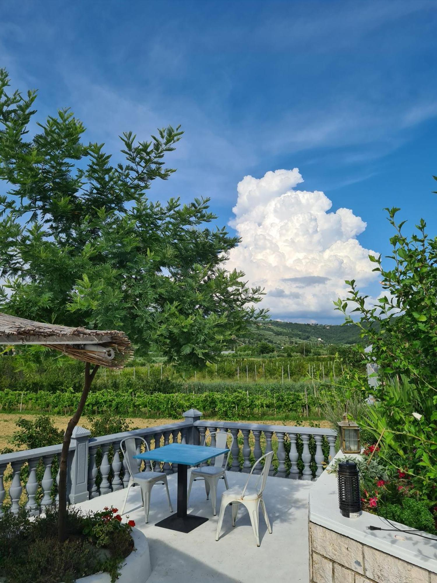 Guesthouse Sole Secovlje Luaran gambar